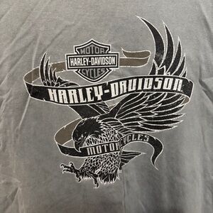 Harley-Davidson Gray Graphic Men's Shirt Big Swamp Alabama XXL